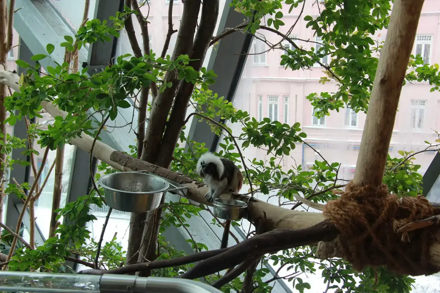 Wien mit Kindern: Haus des Meeres