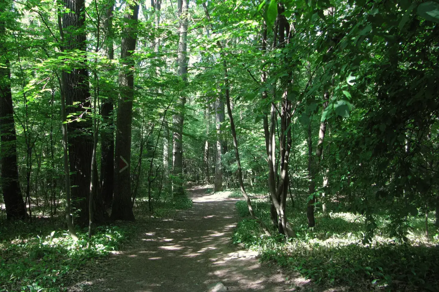 Parks & Natur: Wienerwald