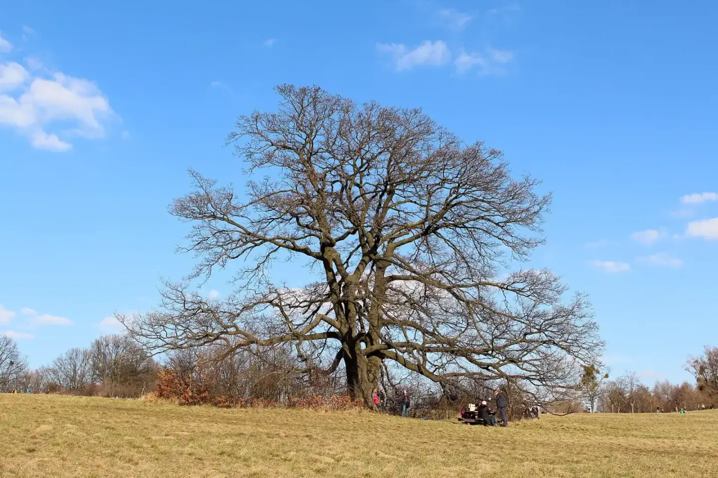 Parks & Natur: Steinhofgründe