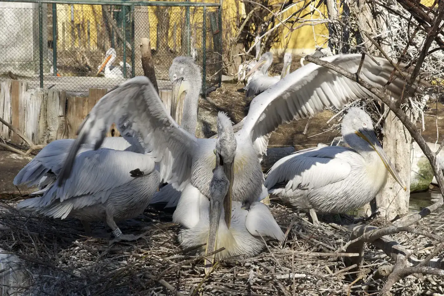 Wien mit Kindern: Tiergarten Schönbrunn