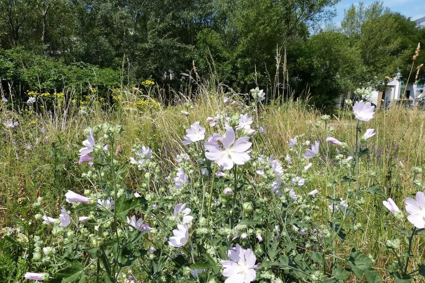 Parks & Natur: Wienerberg